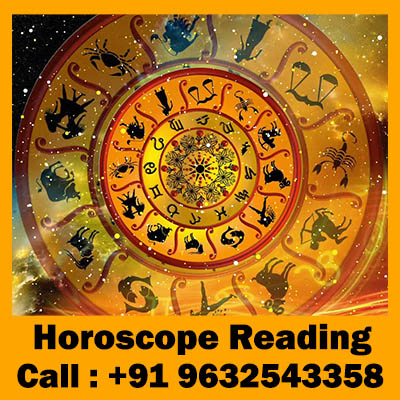 Horoscope Reader